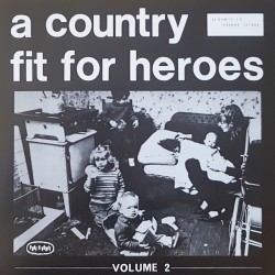 V/A - A country fit for heroes Vol.2 LP