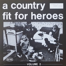 V/A - A country fit for heroes Vol.2 LP