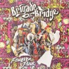 Brigade Of Bridge - Forever punk LP