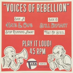 Hats & Caps / Still Defiant - Voices of rebellion Split-EP