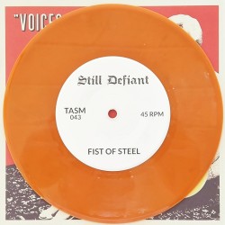 Hats & Caps / Still Defiant - Voices of rebellion Split-EP