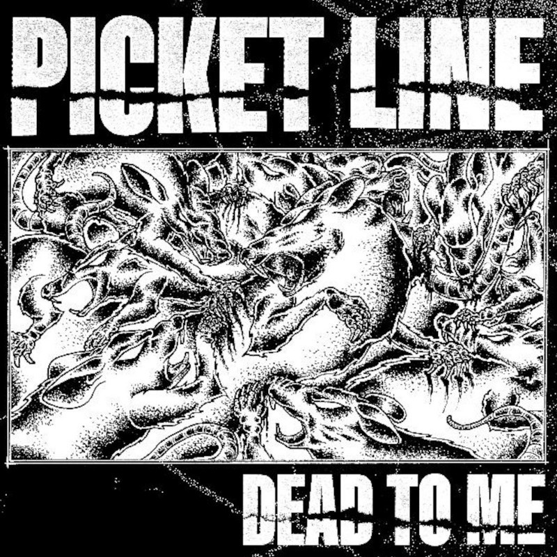 Picket Line - Dead to me LP