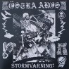 Östra Aros - Stormvarning